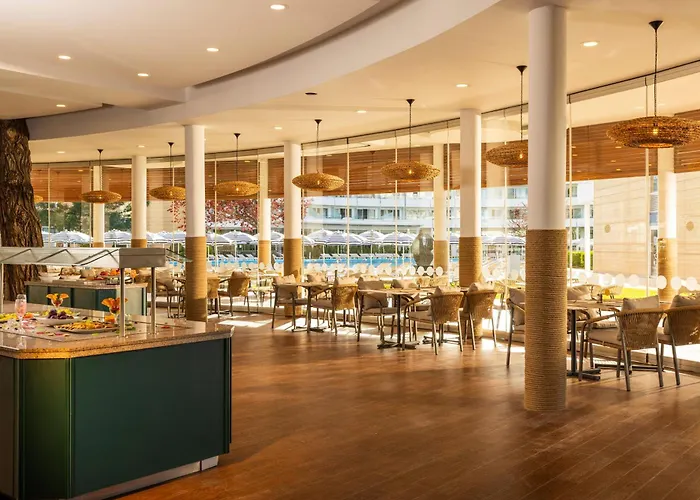 Aluasoul Sunny (adults Only) 써니비치